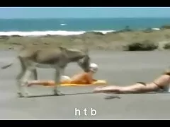 Meisjes anale seks leren. lekkere sexfilmpjes
